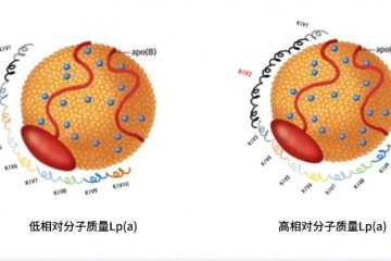 Lp(a)测定如何选择？质量浓度法or颗粒浓度法？